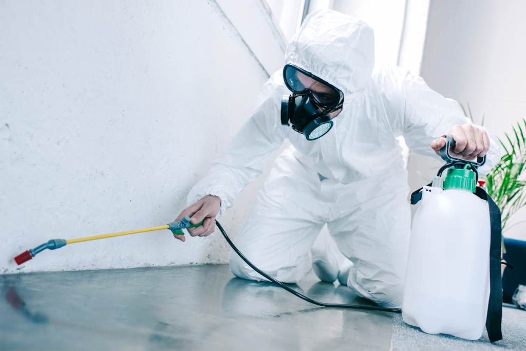 https://shaticgroup.com/wp-content/uploads/2024/07/PestControl-1024x683-1.png
