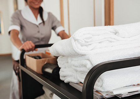 https://shaticgroup.com/wp-content/uploads/2024/07/basic-housekeeping-450x319-1.jpg